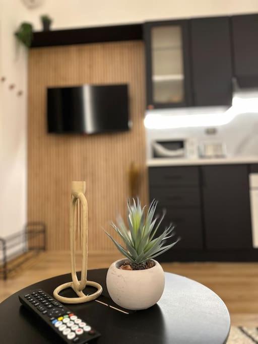 Апартаменты La Casa Di Marlu - Gorgeous Flat In Catania Centre Экстерьер фото